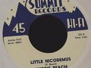HEAR IT TEEN Freddie Beach Summit 223 Why and Little Nicodemus