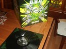 U.D.O. - Rev-Raptor LP / Black Vinyl Accept / Udo /  OOP FOC