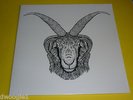 THE DUKE SPIRIT Dresden Live (Bruiser) LTD VINYL LP NEW RSD 300 ONLY