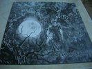 BAPTISM   the beherial ..    LP   rare  first press watain deathspell omega