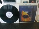 runrig mara lp
