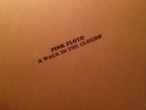 Pink Floyd   A Walk In The Clouds w/extra