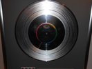Marillion Brief Encounter platin Schallplatte goldene