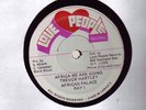 TREVOR HARTLEY AND RAY I - AFRICA WE ARE GOING / DUB 12