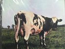 PINK FLOYD Atom Heart Mother MOBILE FIDELITY MFSL 1-202 Ltd Edition #0961 SEALED