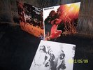 Wicked Minds LP Crazy Technicolor Delirium Garden  RARE MONSTER