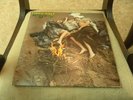 Warm Dust And It Came To Pass UK prog /psych LP Trend