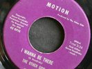 Garage Psych 45 THE OTHER SIDE on MOTION Lawdy Miss Clawdy/I Wanna Be There HEAR