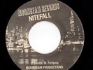Modern Soul 45 NITEFALL I Feel/All The Days Gone By Moonbeam Rare HEAR