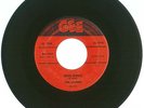 RARE 45 RPM, The Echoes, Gee Records #1028, VG+, 1956, Red Label Version