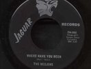 Weejuns - Where Have You Been / Weejun's Theme (VG+)