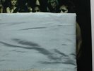 Jimi Hendrix Polydor Import Electric Ladyland 2LP Original Cover