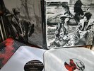 The White Stripes  /  Icky Thump (DoLP)