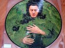ALAIN BASHUNG Fantaisie militaire PICTURE DISC LP FRANCE 2012