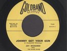 Jay Richards & The Blues Kings  Johnny Get Your Gun  ROCKABILLY JOHNNY WINTER 45