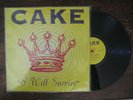 Cake I Will Survive 12