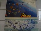 NOVALIS self title Very RARE German Group Brain Record 1975 Vinyl NM