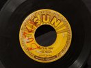 Elvis Presley That's All Right     Original 45 Record