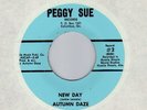 soul funk psych AUTUMN DAZE New Day PEGGY SUE Georgia   NM   HEAR