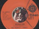 THE PEOPLES CHOICE Destruction RARE GRAND RAPIDS MI NORTHERN SOUL R&B 45 RPM