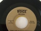 GREAT DETROIT NORTHERN SOUL/ GROUP 45 