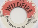 NORTHERN/SWEET SOUL/FUNK 45 The Indigos Rest of My Days Far Away EX LISTEN