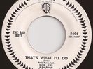 RARE 1965 MOD/FREAKBEAT/GARAGE PROMO 45 - THE BAD BOYS