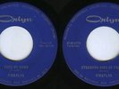GARAGE PUNK MONSTER 45RPM ORLYN LABEL  FIREFLYS STUBBORN KIND OF FELLOW