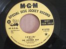 Garage band, The Leather Boy promo45  record, 
