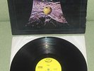THEM  Them ( Jerry Cole ) Orig 1st US 1969 HAPPY TIGER EXCELLENT AUDIO 