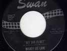 Garage rocker stomper Mickey Lee Lane  SWAN 4222 (( HEAR )) Hey sah lo ney