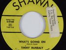Funk Soul 45 TIMMY MCNEALY What's Going On SHAWN Rare HEAR