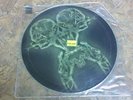 Tool Stinkfist Promo Picture Disc from Best Buy w/ Opiate, Sober and Prison Sex