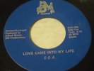 SOA LOVE CAME INTO MY LIFE/LOVE PILLOW 45 BM MEMPHIS BOOGIE MODERN HEAR AL BROWN