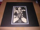 LP POST PUNK / NEW WAVE FELT 