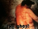 Bruce Springsteen Lp Ghost Of Tom Joad Original U.S. Press N. Mint W/ Insert