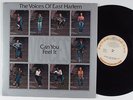 VOICES OF EAST HARLEM Can You Feel It JUST SUNSHINE LP soul funk