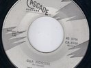 CRAZY HORROR CASCADE R&B ROCKERS / ROCKABILLY TWIN SPIN - JOE JOHNSON   HEAR