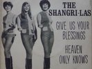 THE SHANGRI - LAS 1965 RARE Pop Vocal 45 P/S 7” SINGLE BRAZIL