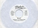 R.A.F. 45 Echoes of a Slamming Door - Unknown CT Power Pop ?Hear
