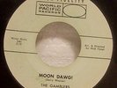 45 Surf Instrumental THE GAMBLERS Moon Dawg / LSD-25 1960 World Pacific 815