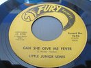 LITTLE JUNIOR LEWIS CAN SHE GIVE ME FEVER FURY 45 MOD NEW BREED R&B SOUL 45