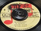 7 inch WONDERING - RONNIE DAVIS & THE ITALS