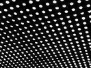 BEACH HOUSE BLOOM  LP X 2  MINT