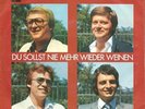 Single / THE HUBBUBS / AUSTRIA / RARITÄT /
