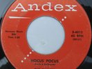 THE RAIDERS 45 on Andex  
