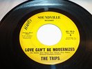 The Trips on Soundville #  HSJ101  Theres that Mountain/Love Can't Be Modernized