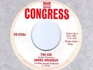 Northern Soul Classic (Hear)  ANDRE BRASSEUR 