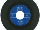 RARE 45 RPM, The Silhouettes Junior Records # 391, VG+, Get A Job/I Am Lonely
