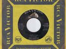 INSANE & CRAZY RCA DESPERATE ROCKER ROCKABILLY - TONY SHEPPERD - ZACH   HEAR